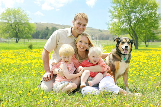 Homeschooling Enables You to Teach Your Children Christian Values