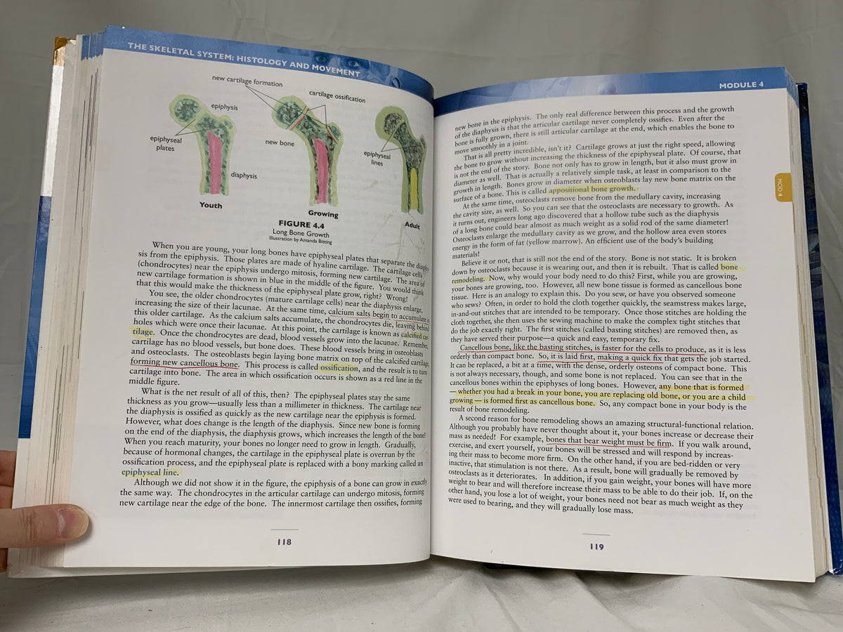 Exploring Creation with Advanced Biology (2nd Ed.) Textbook