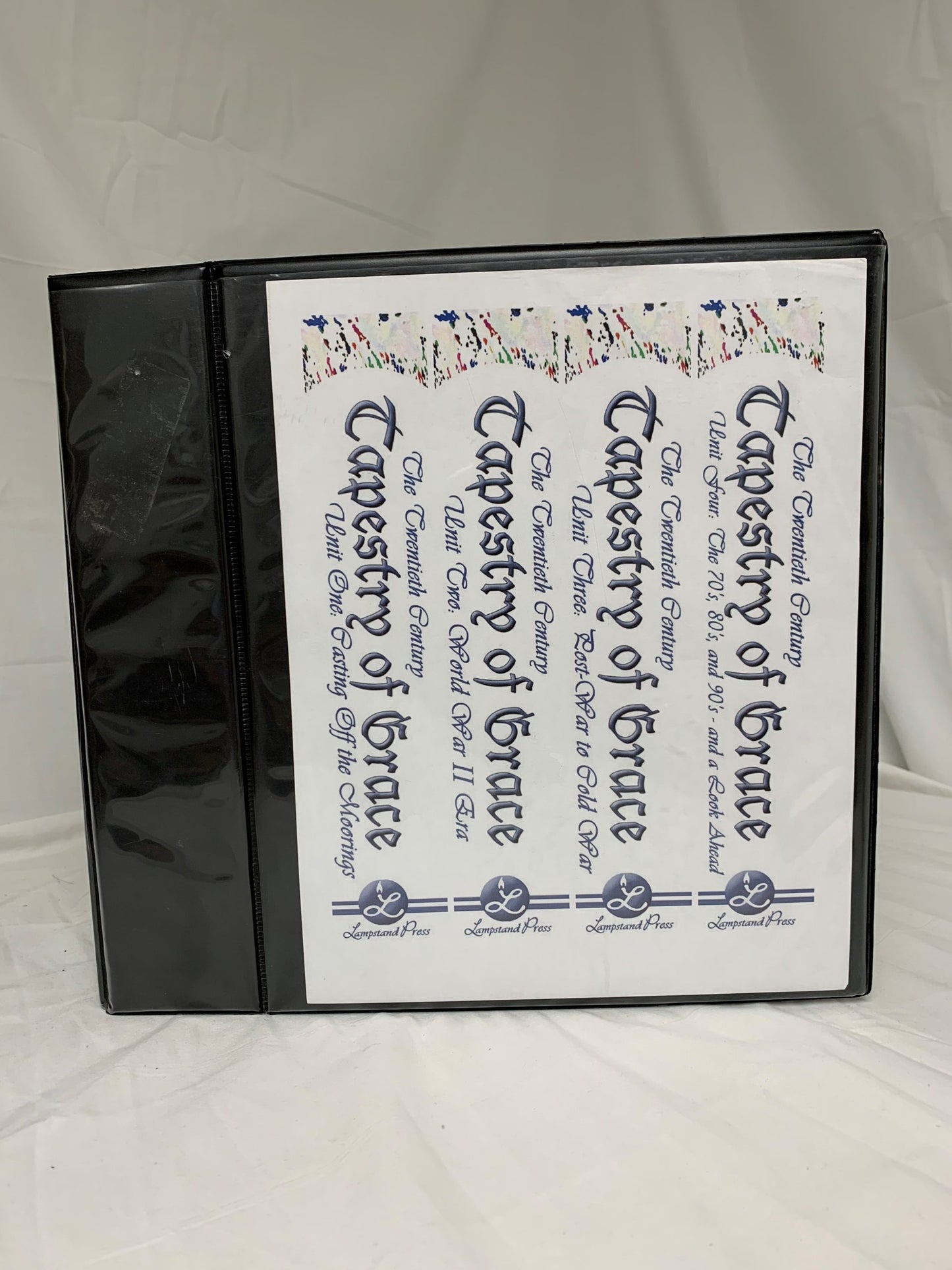 Tapestry of Grace Year 4: The Twentieth Century