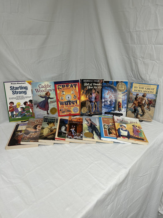 Sonlight Core E Intro to American History Year 2 of 2 (2014) Set of 14