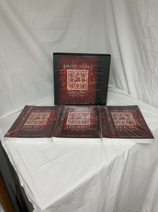 Tapestry of Grace Year 1: The History of Redemption - Set of 4