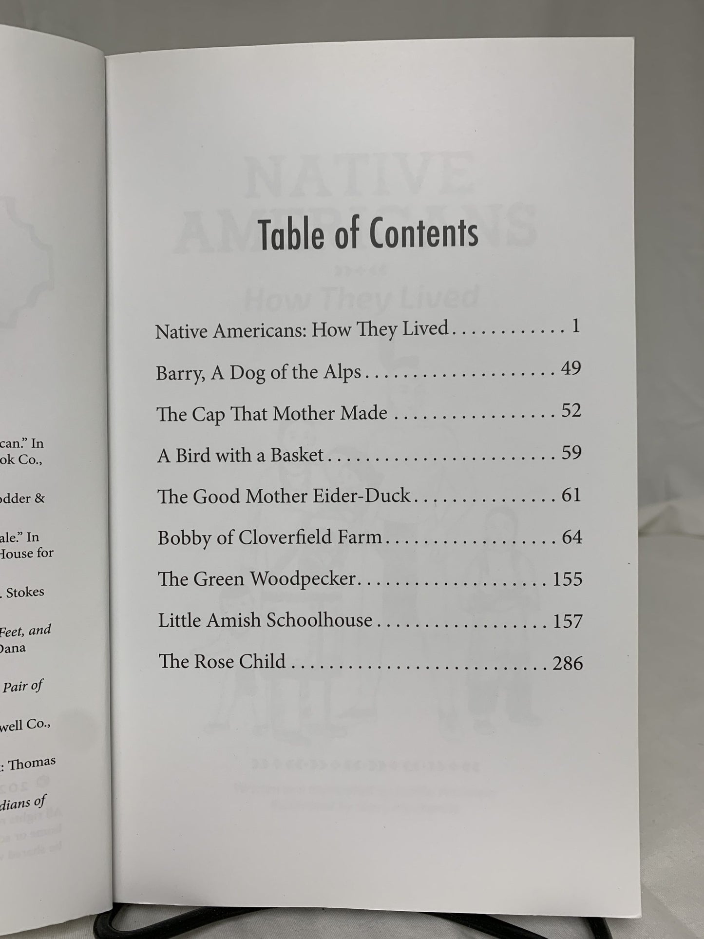 The Good and the Beautiful Level 3 Language Arts & Literature Set of 2