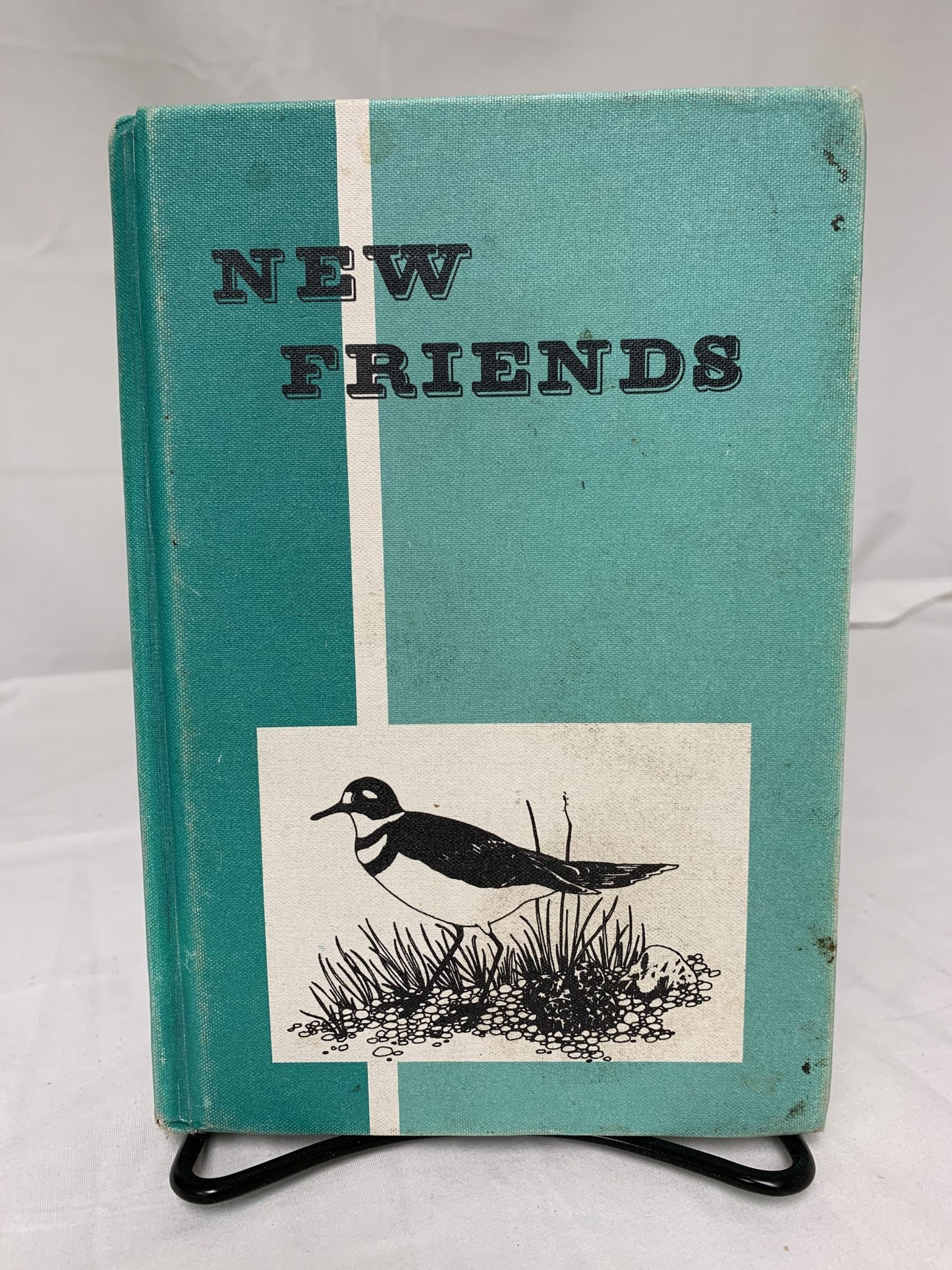 Pathway New Friends (Grade 3) Reader 1