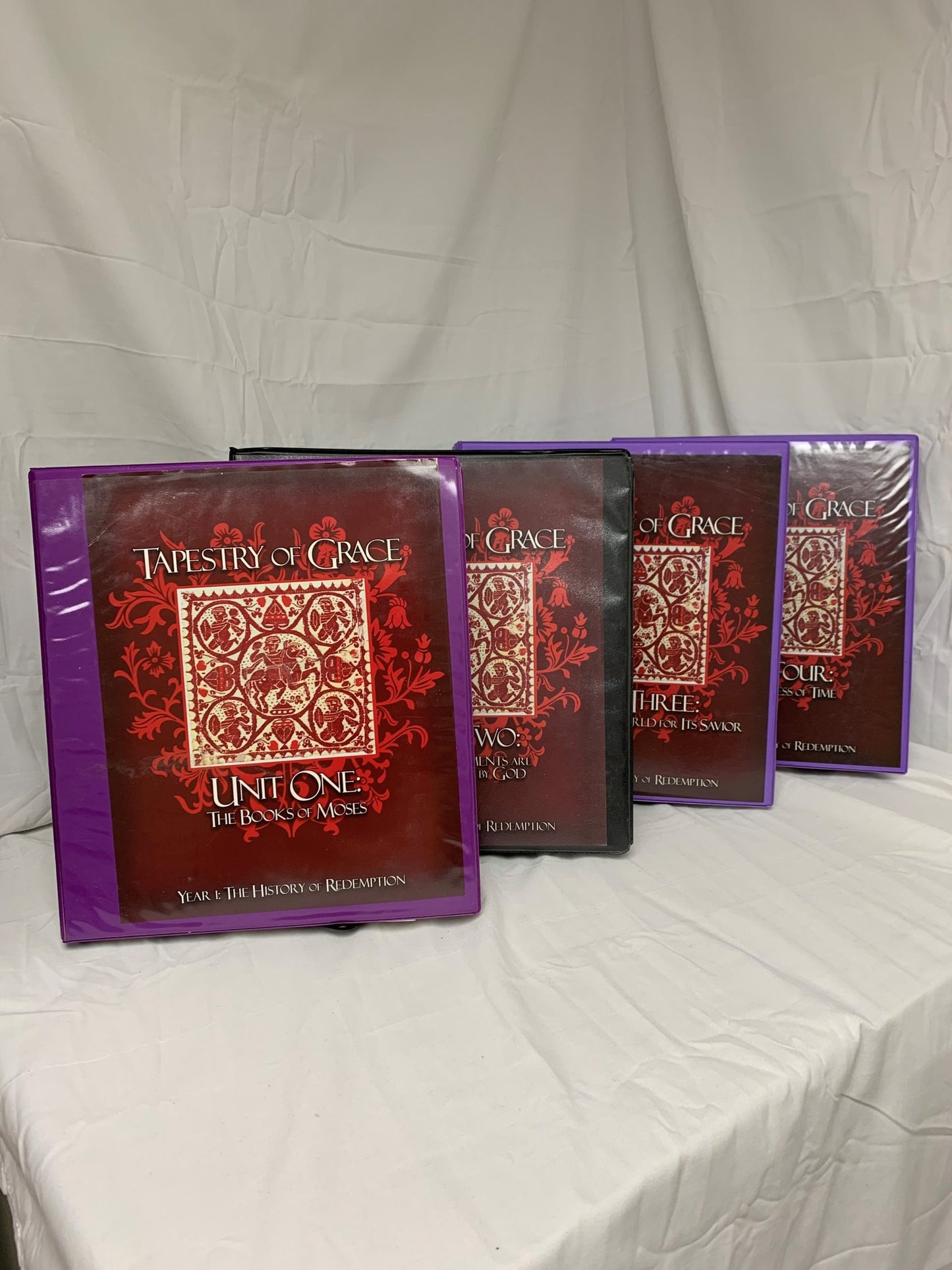 Tapestry of Grace Year 1: The History of Redemption - Set of 4