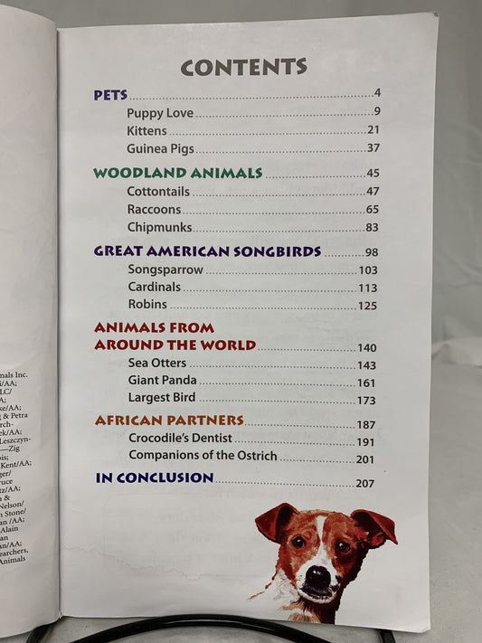 Abeka All Kinds of Animals (3rd Ed.) 2nd Grade Reader