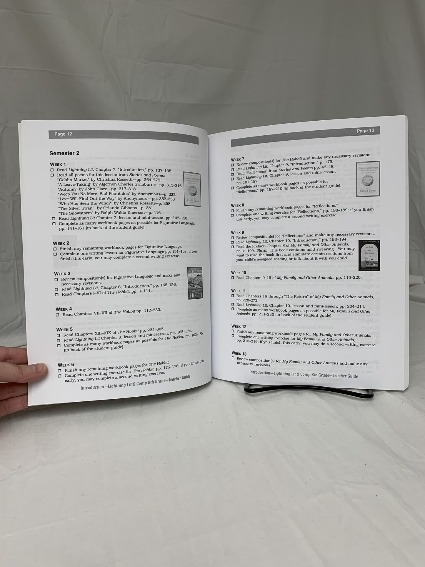 Lightning Lit & Comp: 8th Grade (2nd Ed.) Teacher Guide