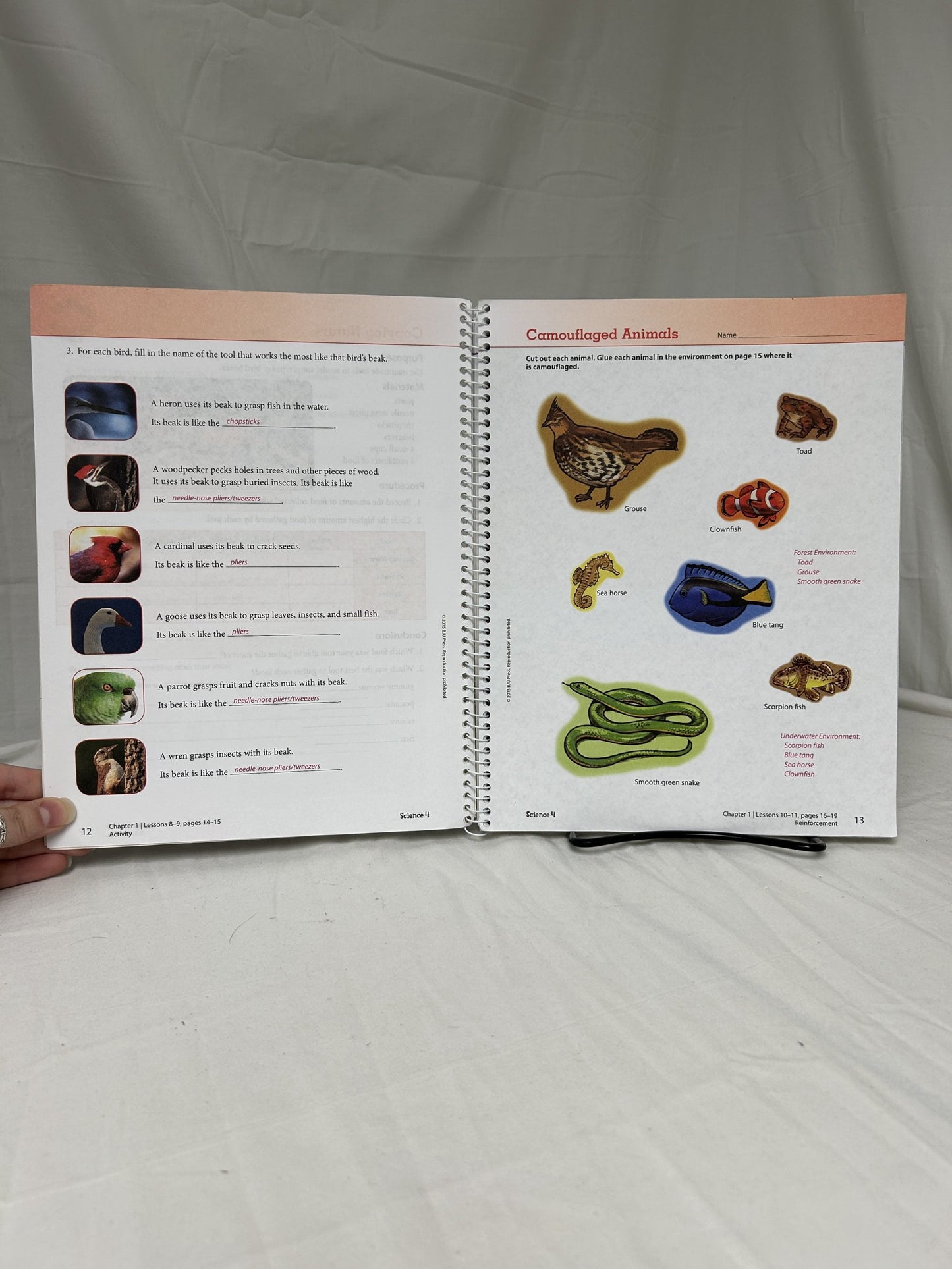 BJU Science 4 (4th Ed.) Set of 3