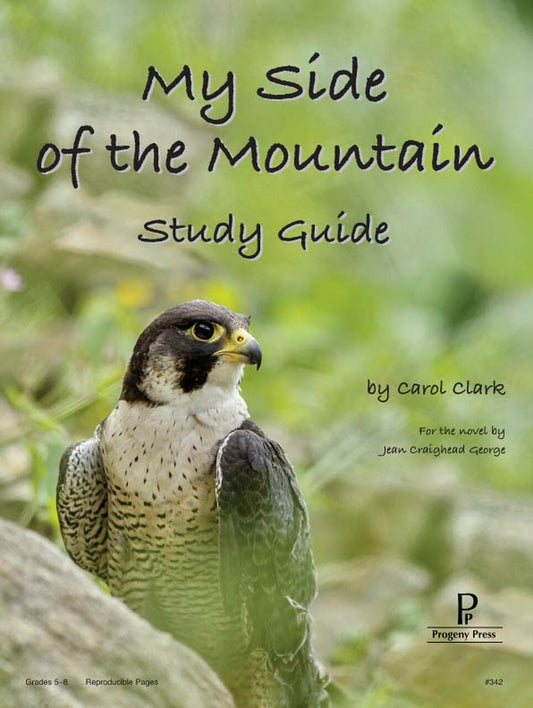 My Side of the Mountain - Study Guide