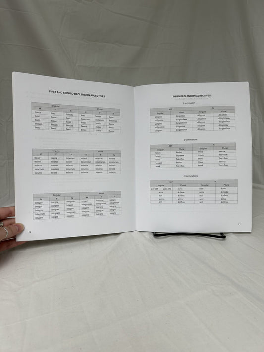 Latin Grammar for the Grammar Stage