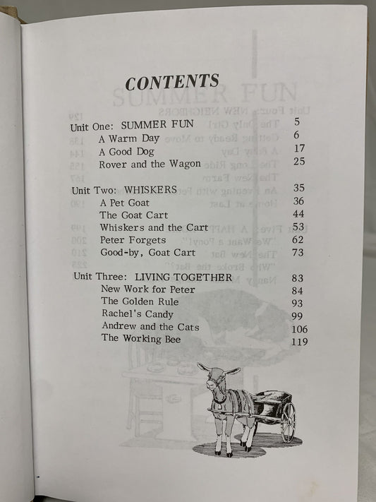 Pathway Busy Times (Grade 2) Reader 1