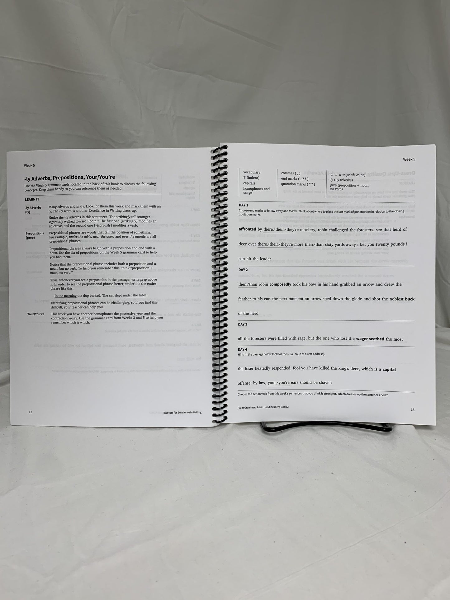 Fix It! Grammar: Robin Hood Student Book 2 (3rd Ed.)