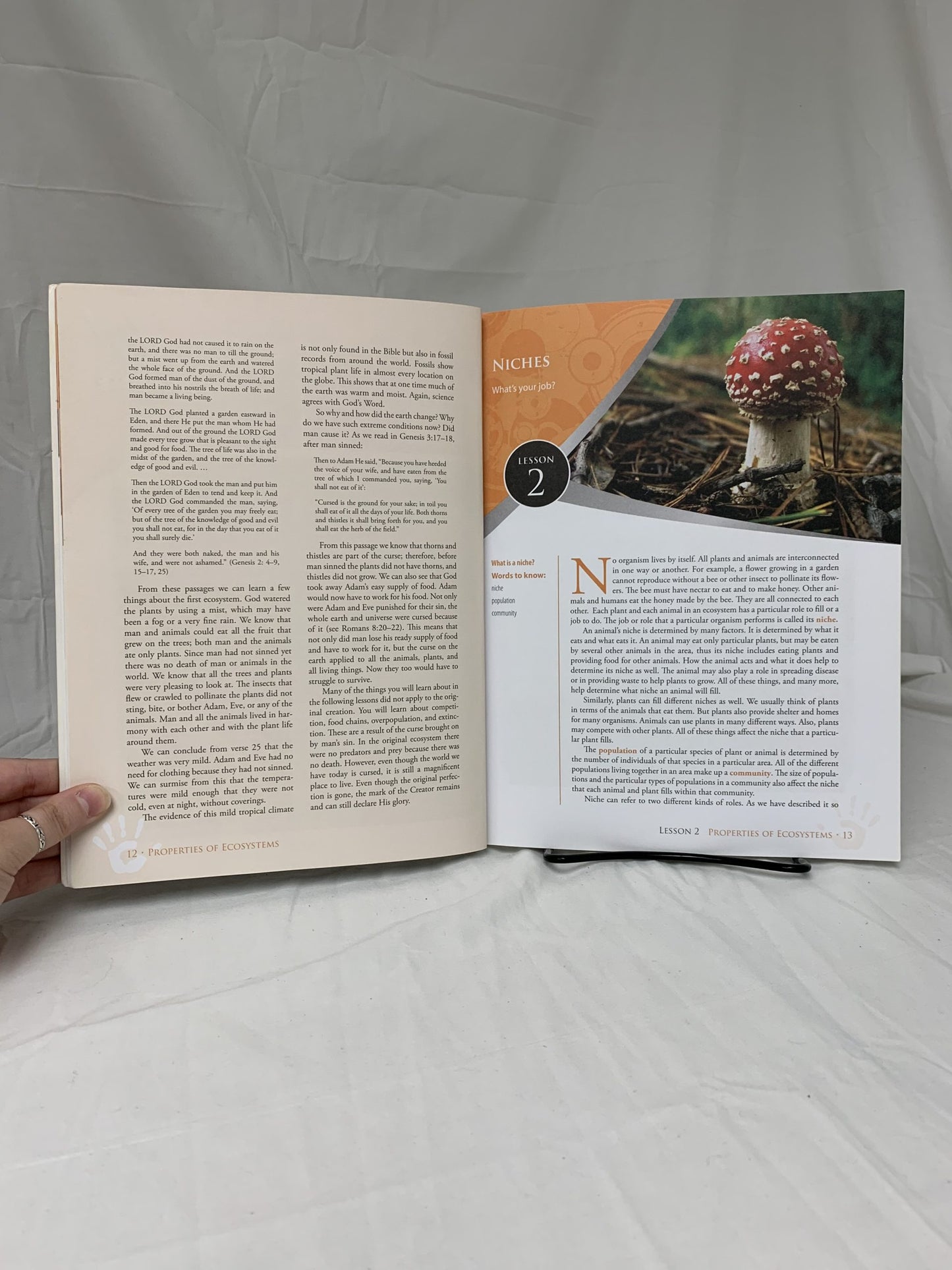 God's Design for Chemistry & Ecology: Properties of Ecosystems - Set of 2