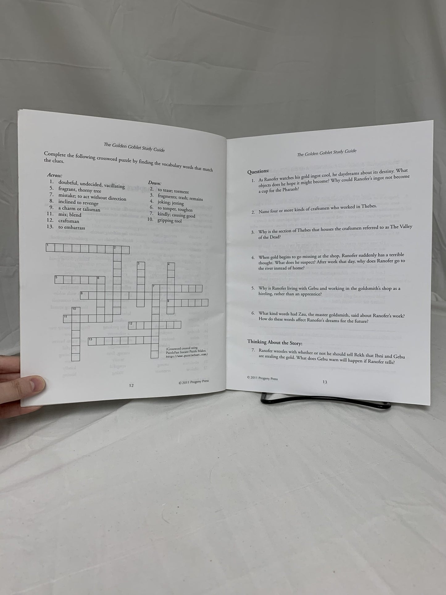 The Golden Goblet Study Guide