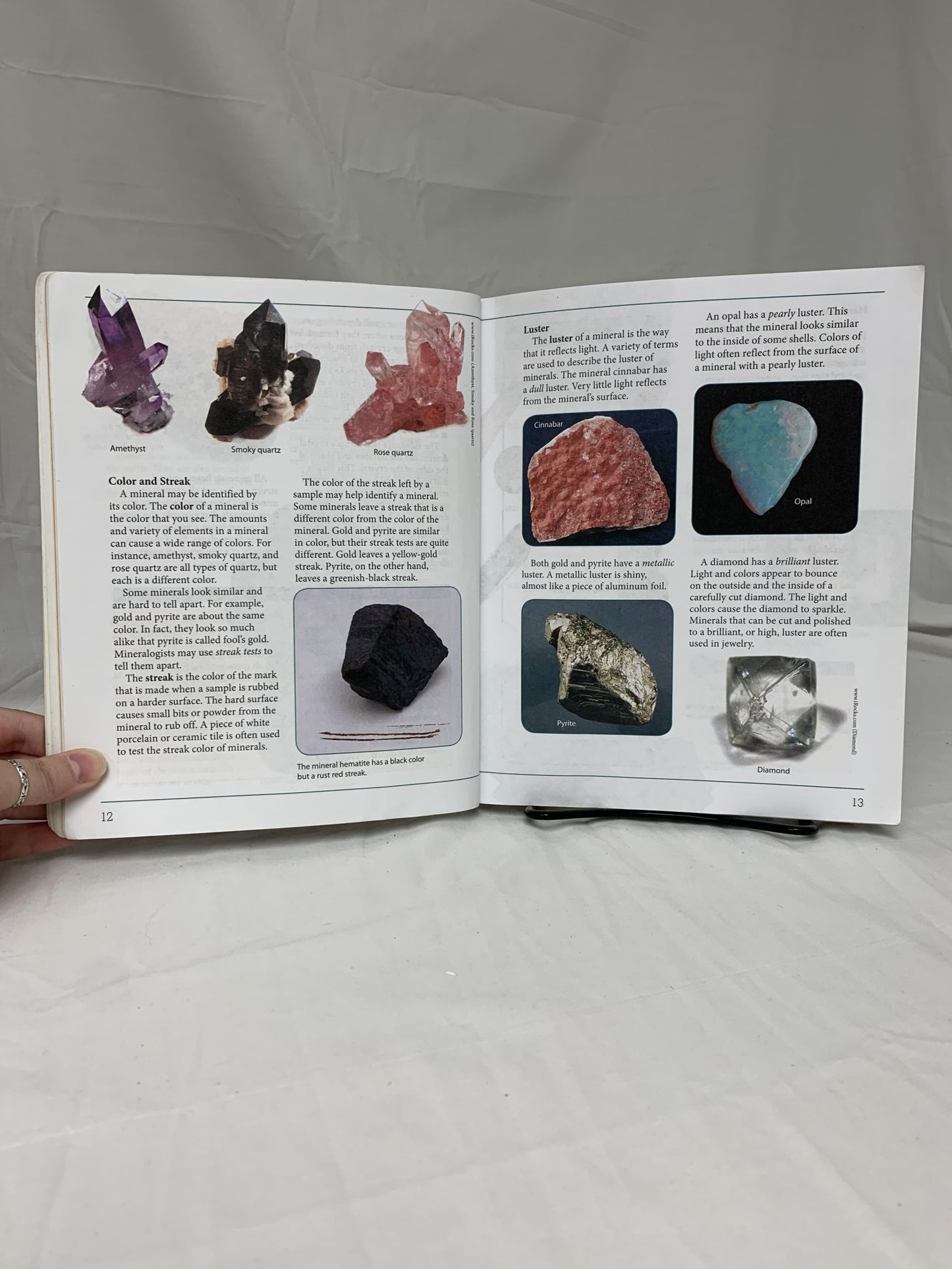 BJU Science 5 (4th Ed.) Textbook