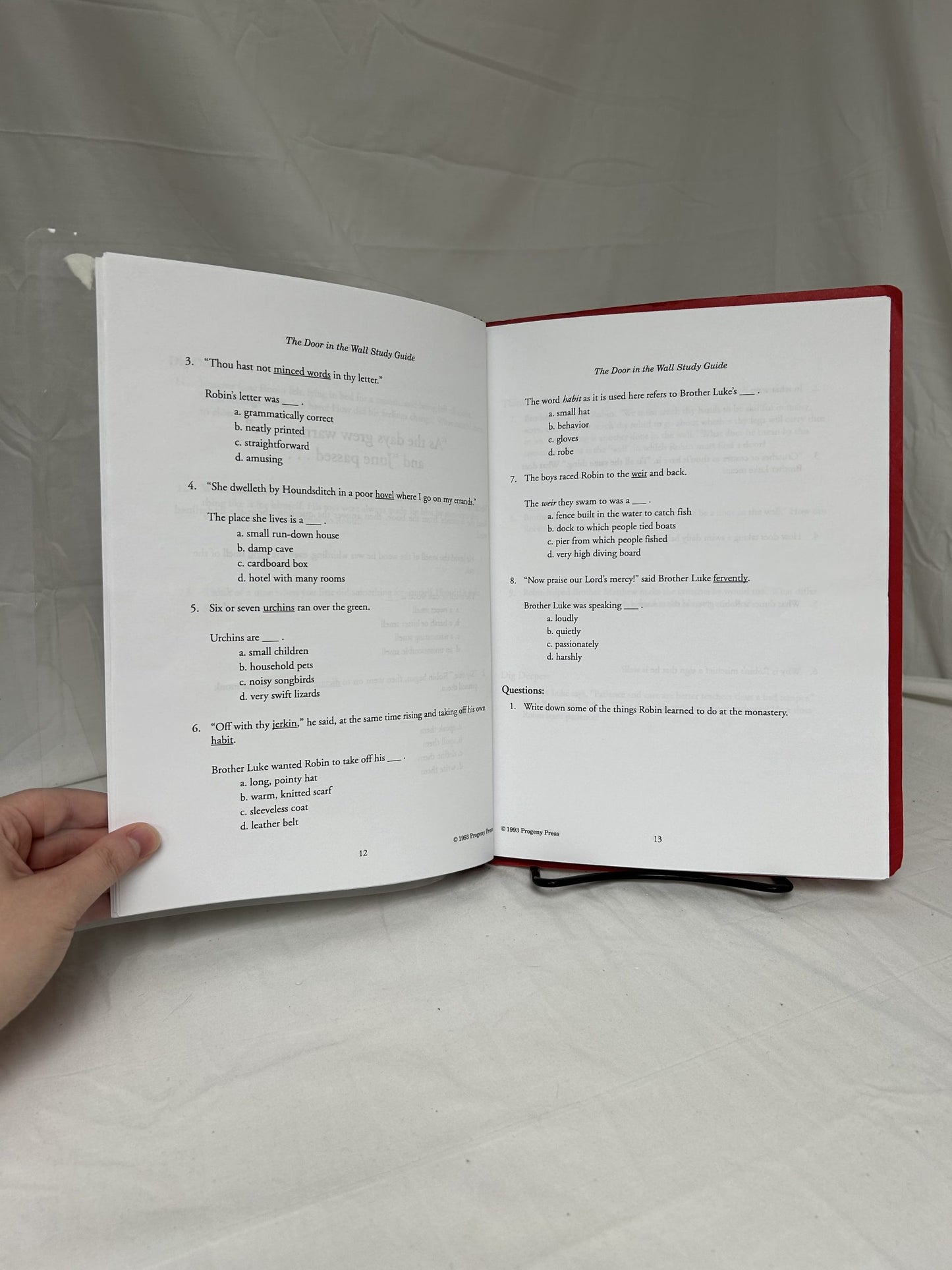 The Door in the Wall Study Guide