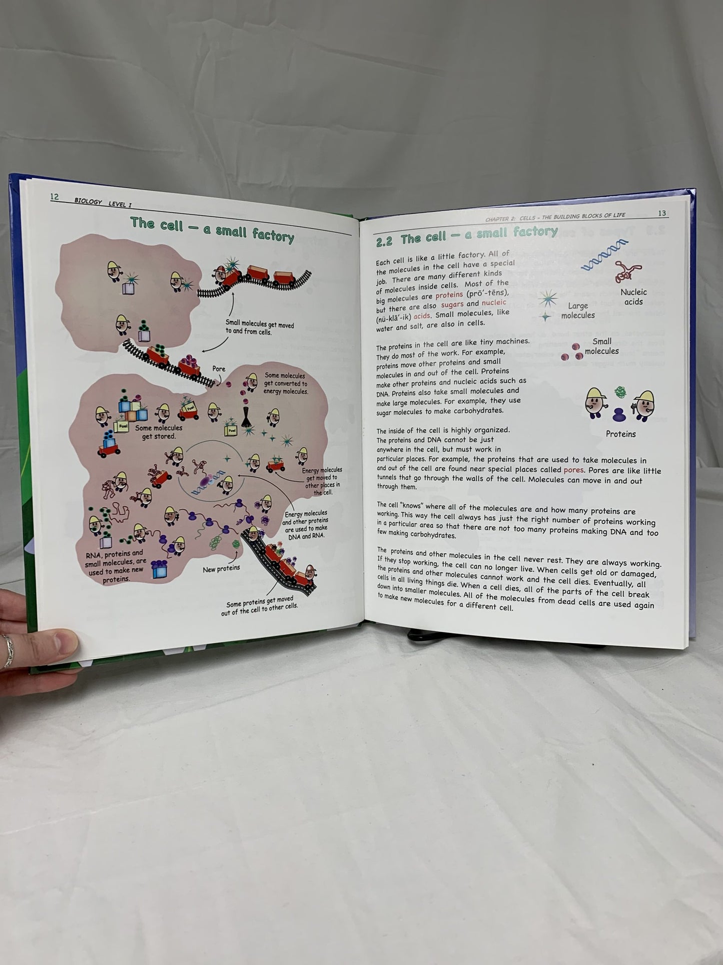 Real Science-4-Kids: Biology Level I Textbook