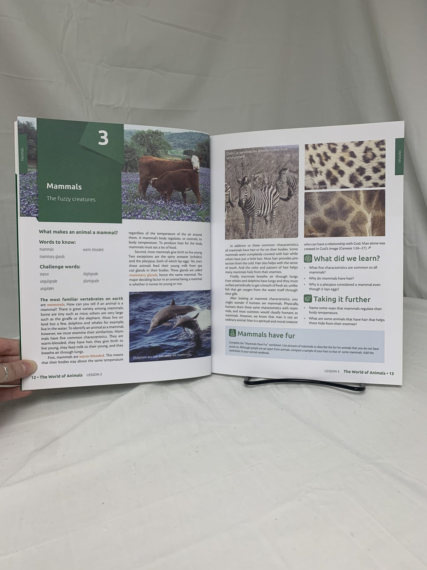 God's Design for Life: The World of Animals (4th Ed.)