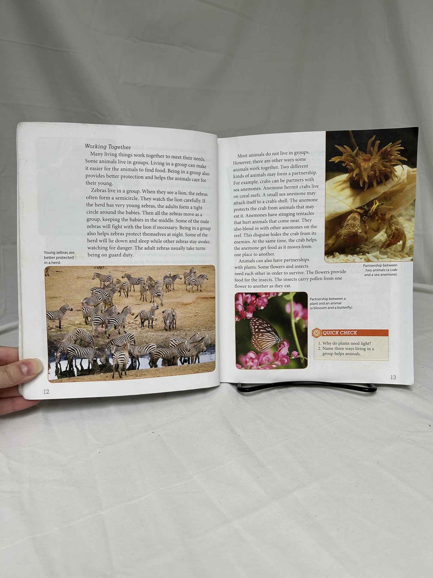BJU Science 4 (4th Ed.) Set of 3