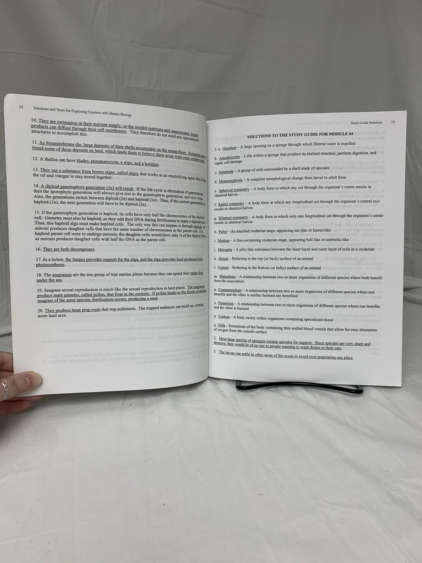 Solutions and Tests for Exploring Creation with Marine Biology