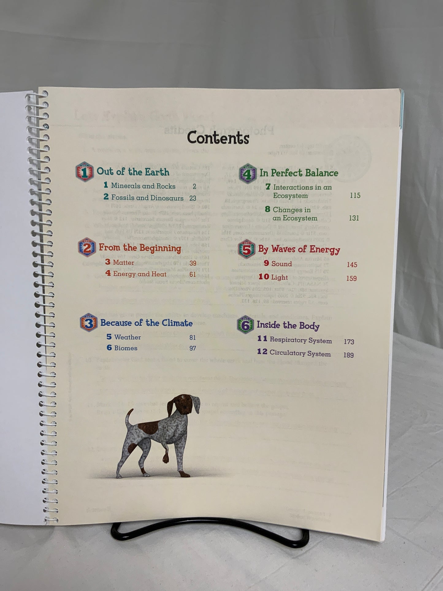 BJU Science 5 (4th Ed.) Activity Manual Answer Key