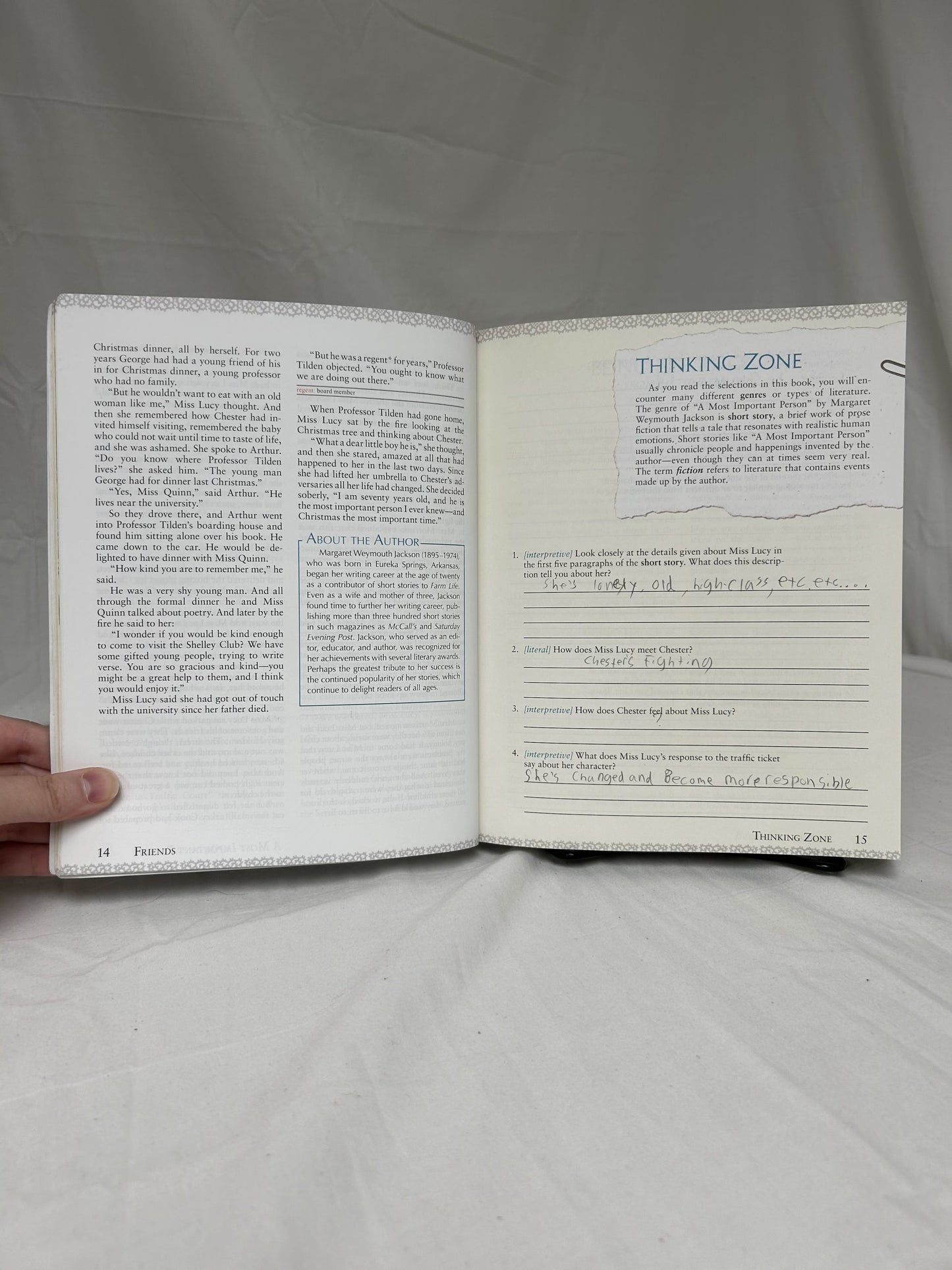 BJU Excursions in Literature (3rd Ed.) Textbook (writing)