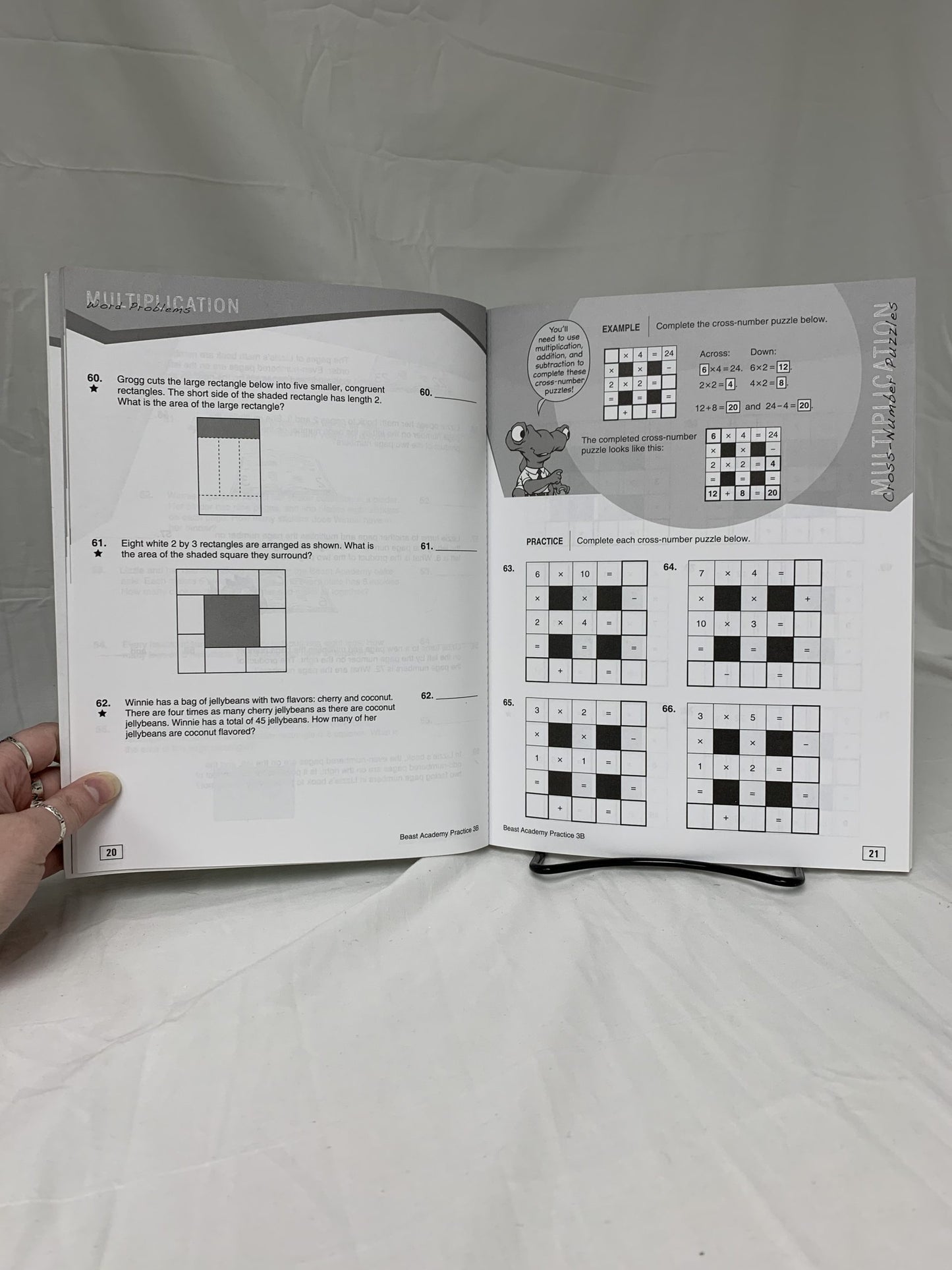 Beast Academy Math 3B - Set of 2