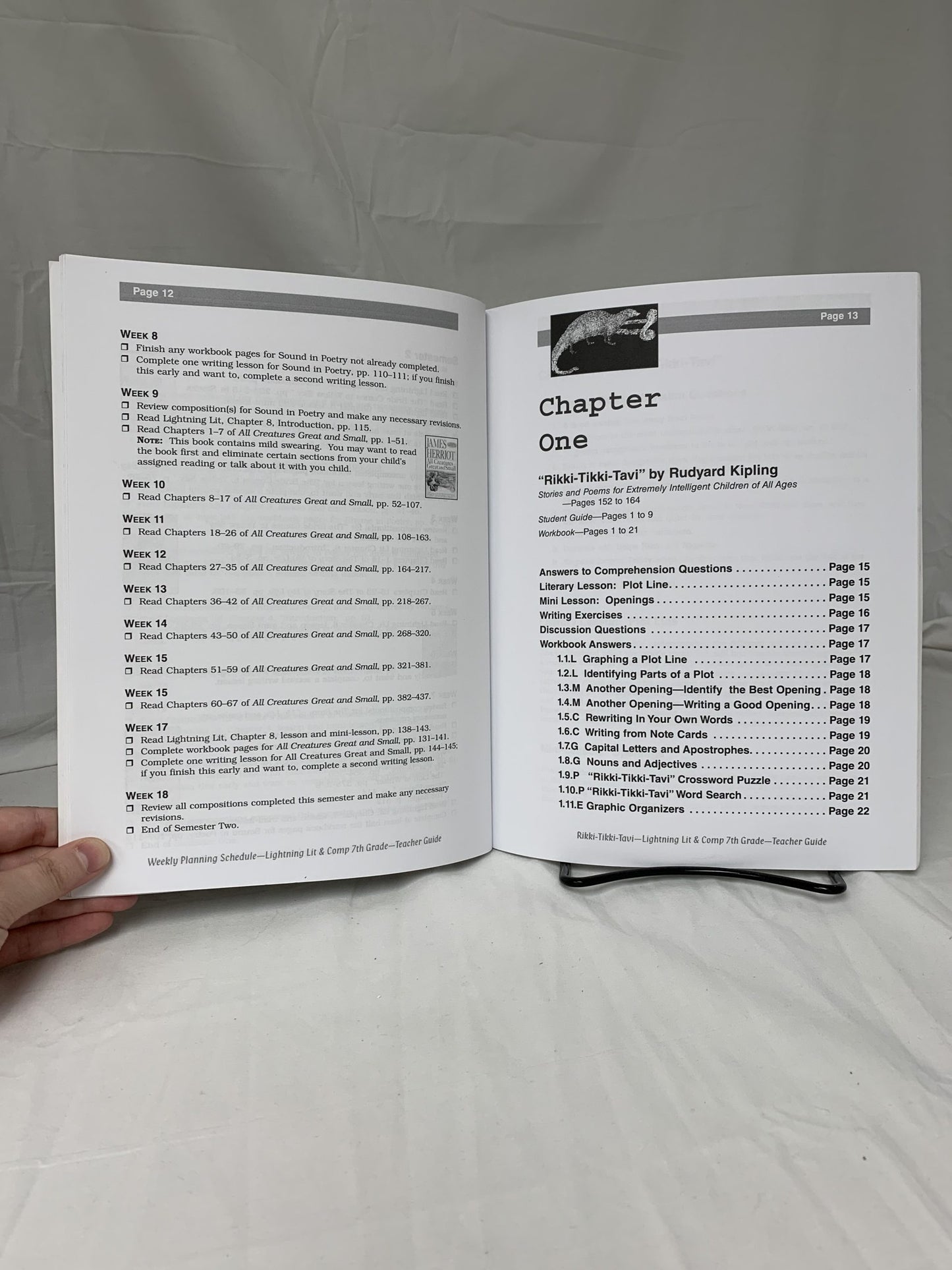 Lightning Lit & Comp: 7th Grade (2nd Ed.) Set of 2