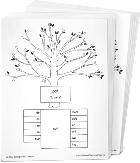 All About Spelling Level 7 Student Packet