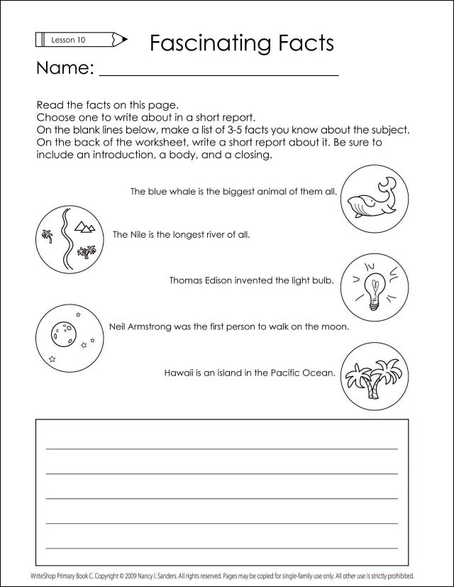 WriteShop Primary Activity Pack | Book C