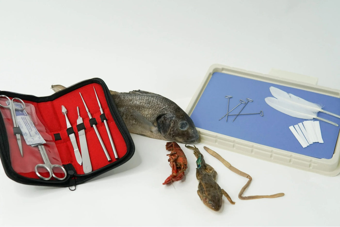 Biology Dissection Lab Kit