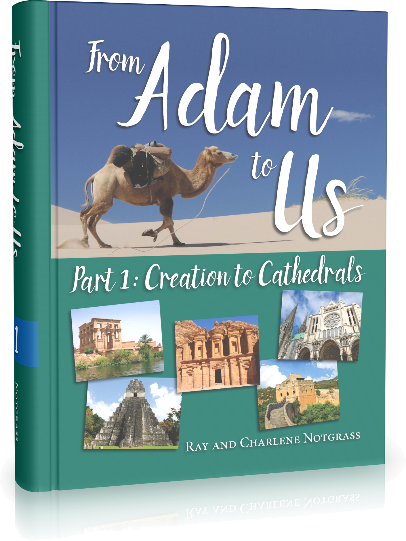 From Adam to Us Curriculum Package