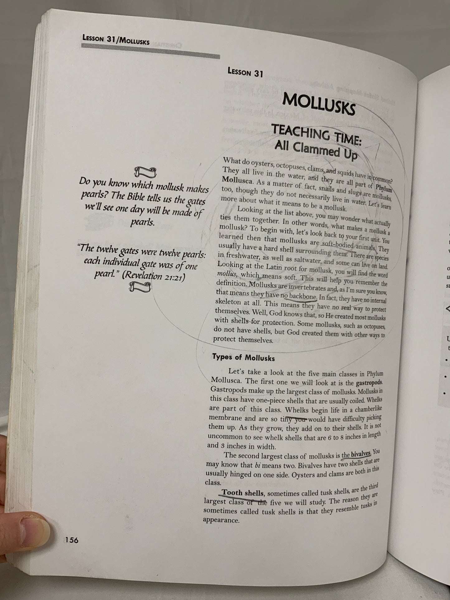 Christian Kids Explore Biology