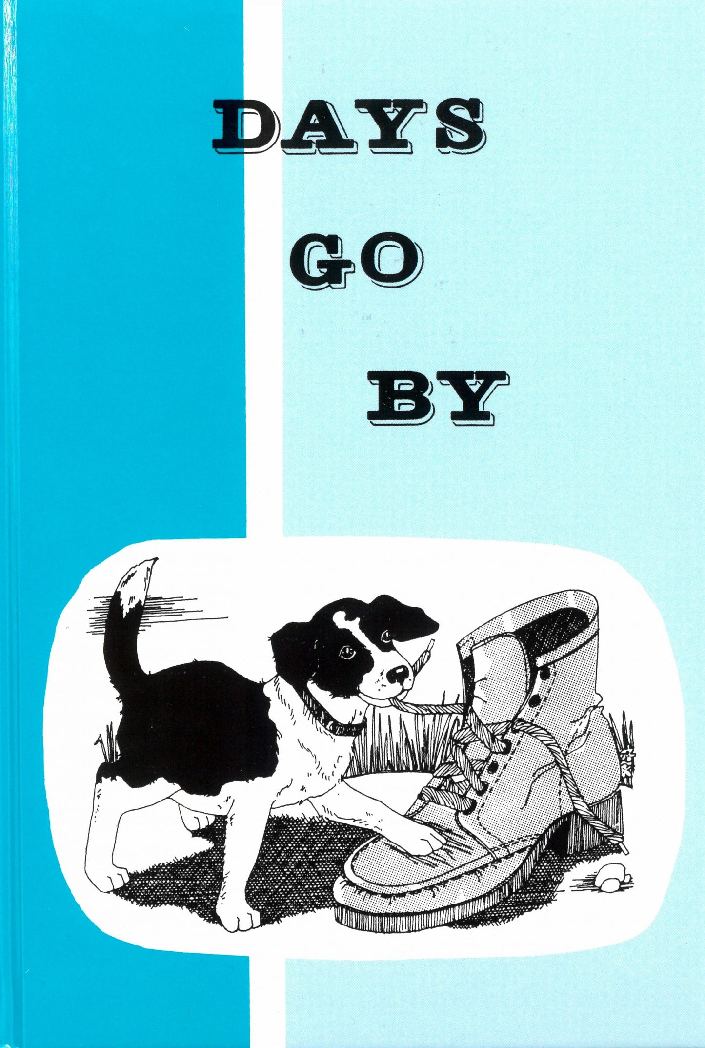 Days Go By