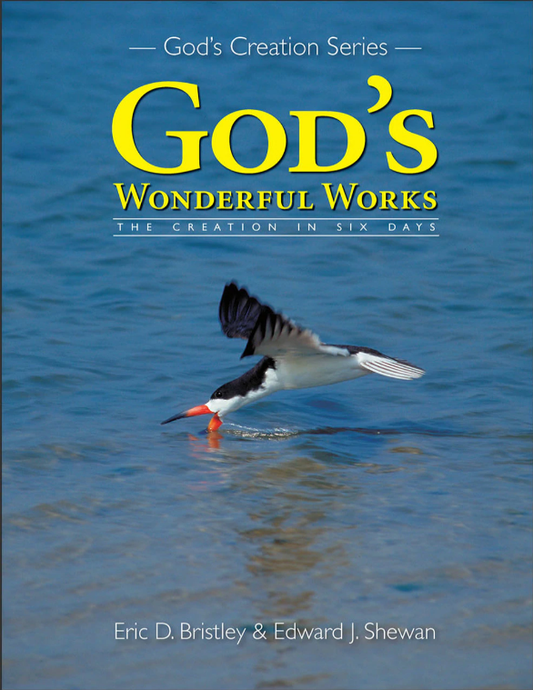 God's Wonderful Works