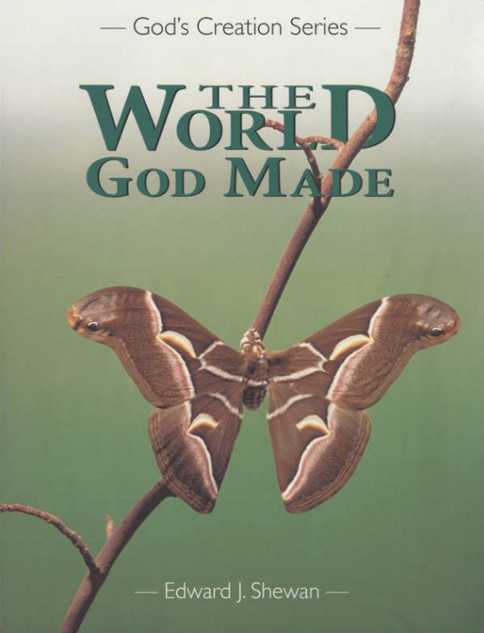 World God Made, 1st Edition