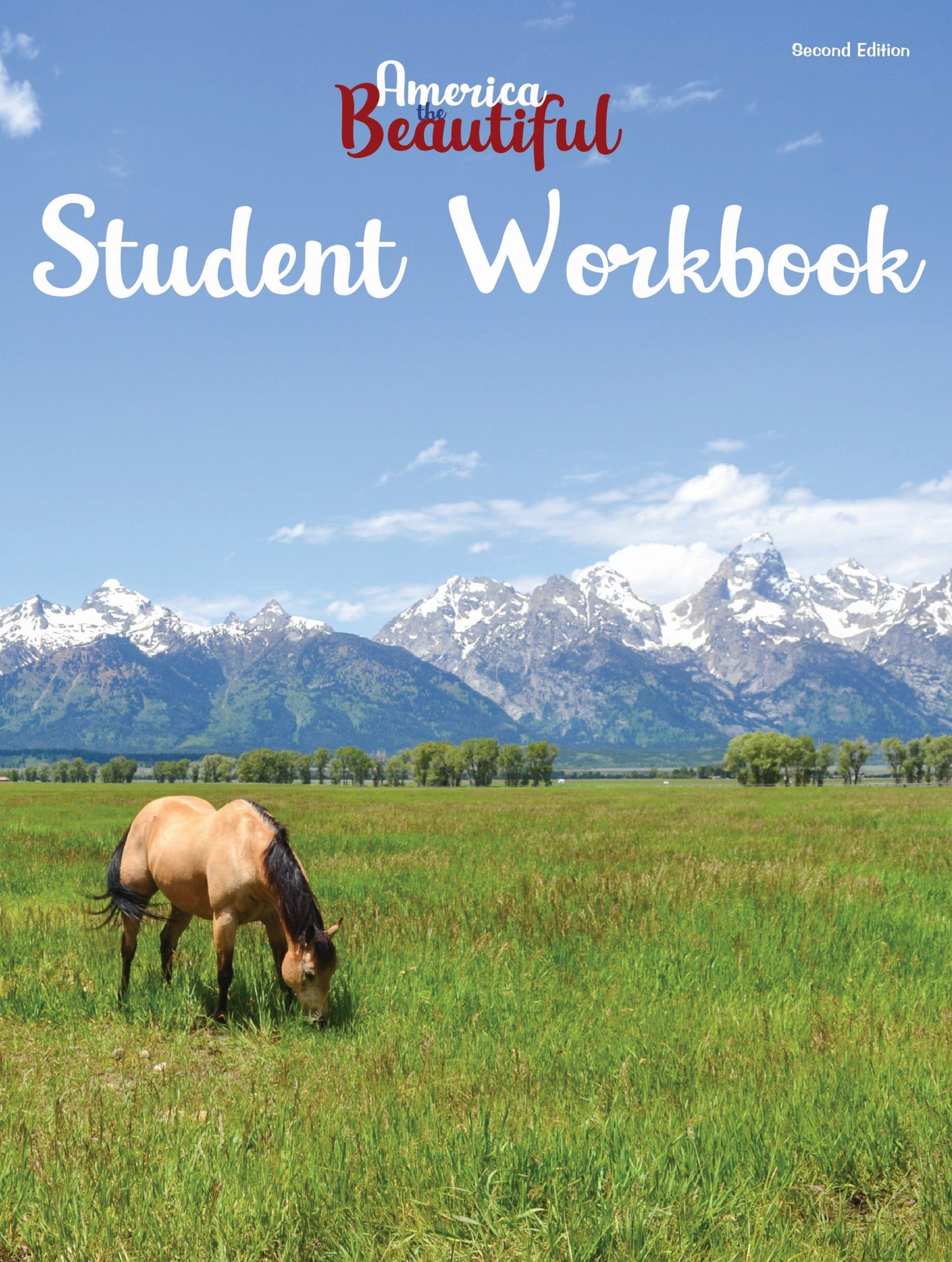 America the Beautiful Student Workbook (2020)