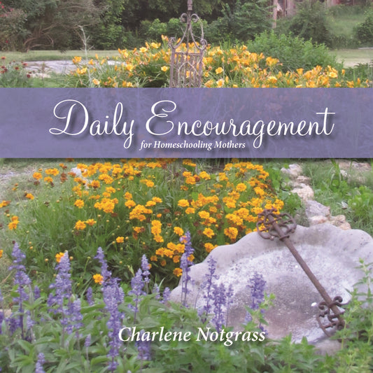 Daily Encouragement (color hardcover version)