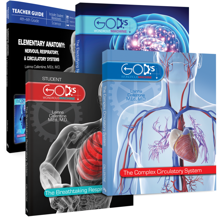 Elementary Anatomy - Set of 4