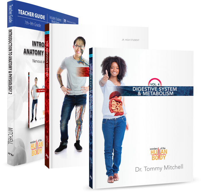 Introduction to Anatomy & Physiology 2 (Curriculum Pack)