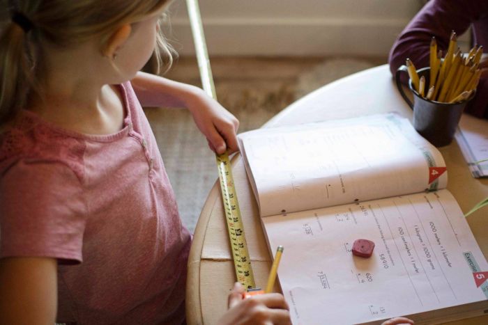 Math Lessons for a Living Education: Level 5