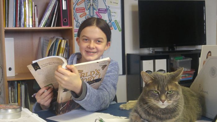 The World's Story 1: The Ancients