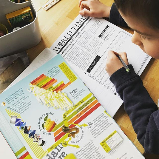 Elementary World History - You Report! (Curriculum Pack)