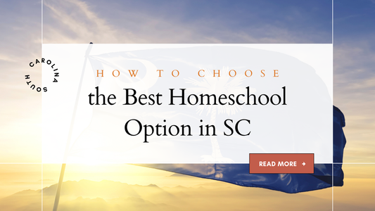 How to Choose the Best Homeschool Option in South Carolina