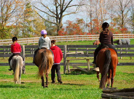 Have You Ever Considered a Gap Year for Your Older Children?