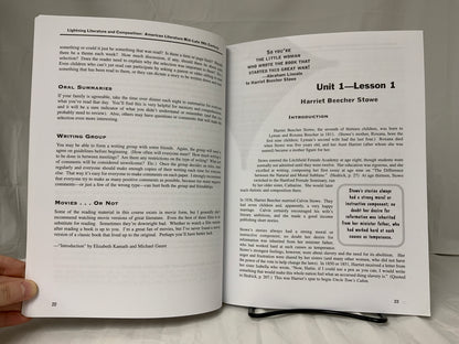 Lightning Lit & Comp: Mid-Late 19th Century American Literature (3rd Ed.) Student's Guide