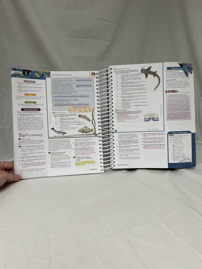 BJU English 6 (2nd Ed.) Teacher's Edition