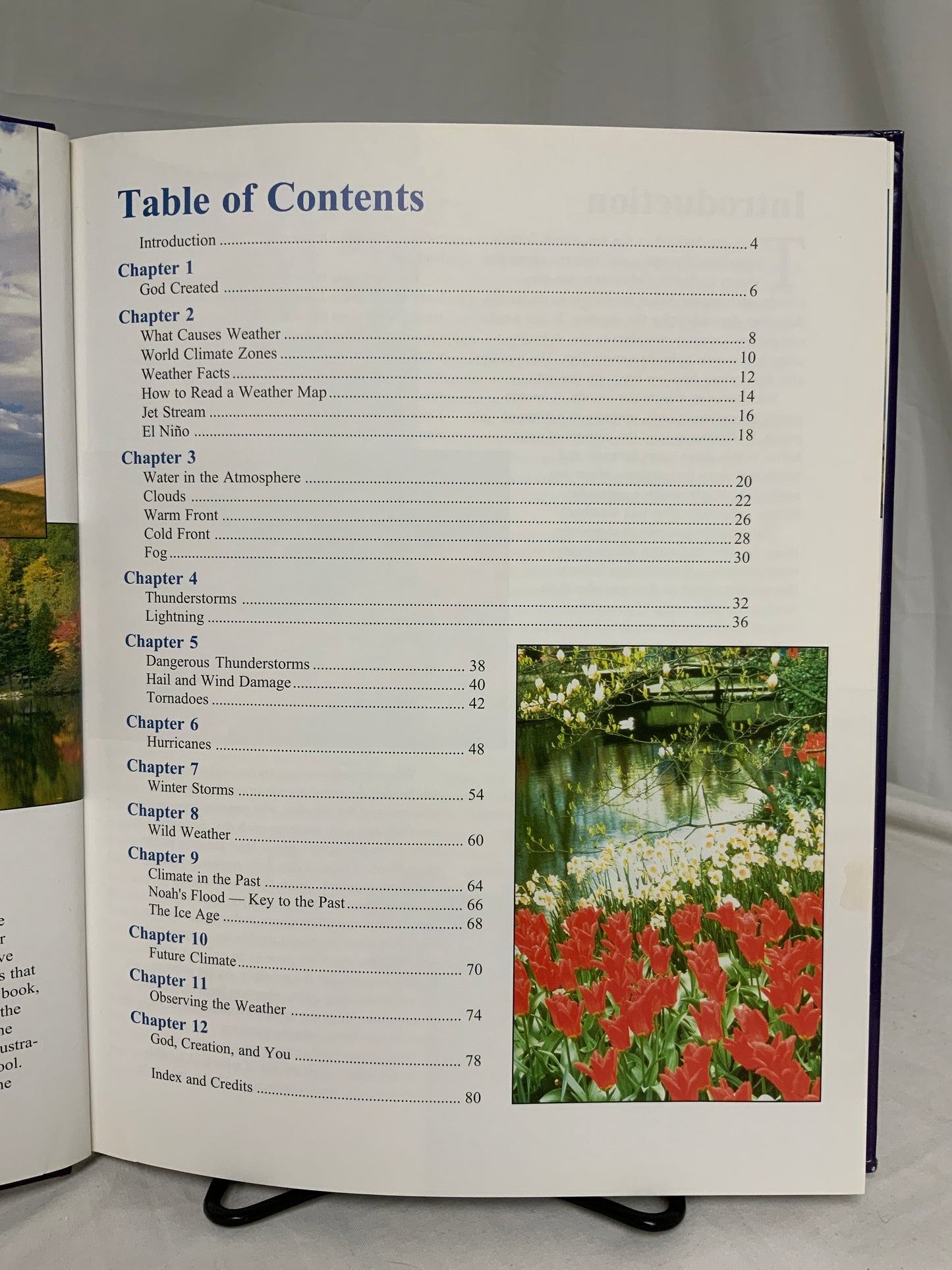The Weather Book - Set of 2
