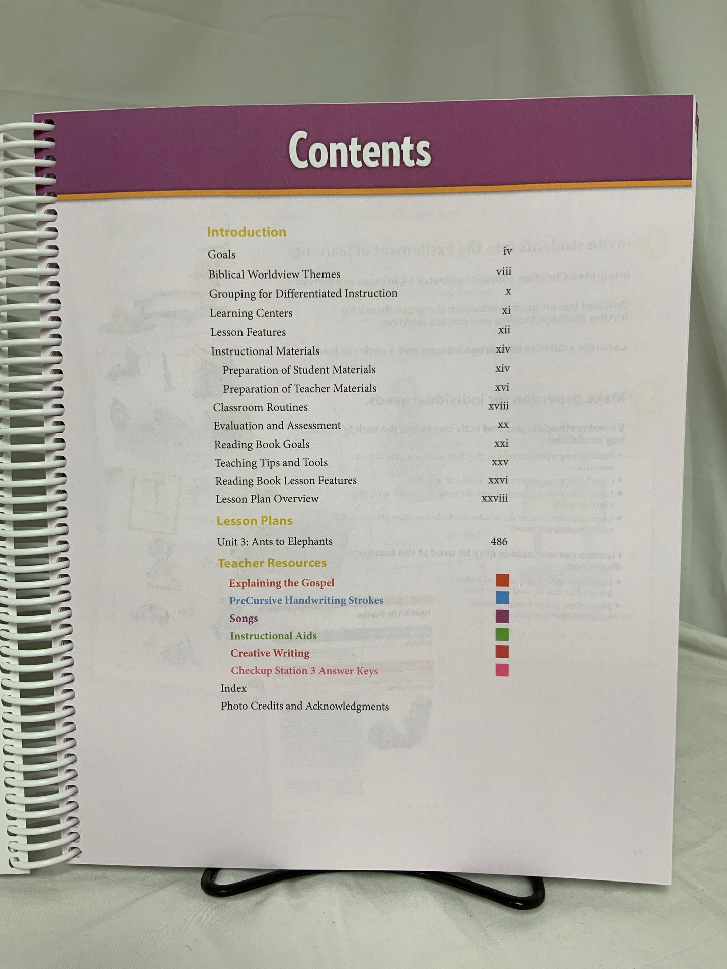 BJU Focus on Fives (4th Ed.) Teacher's Edition