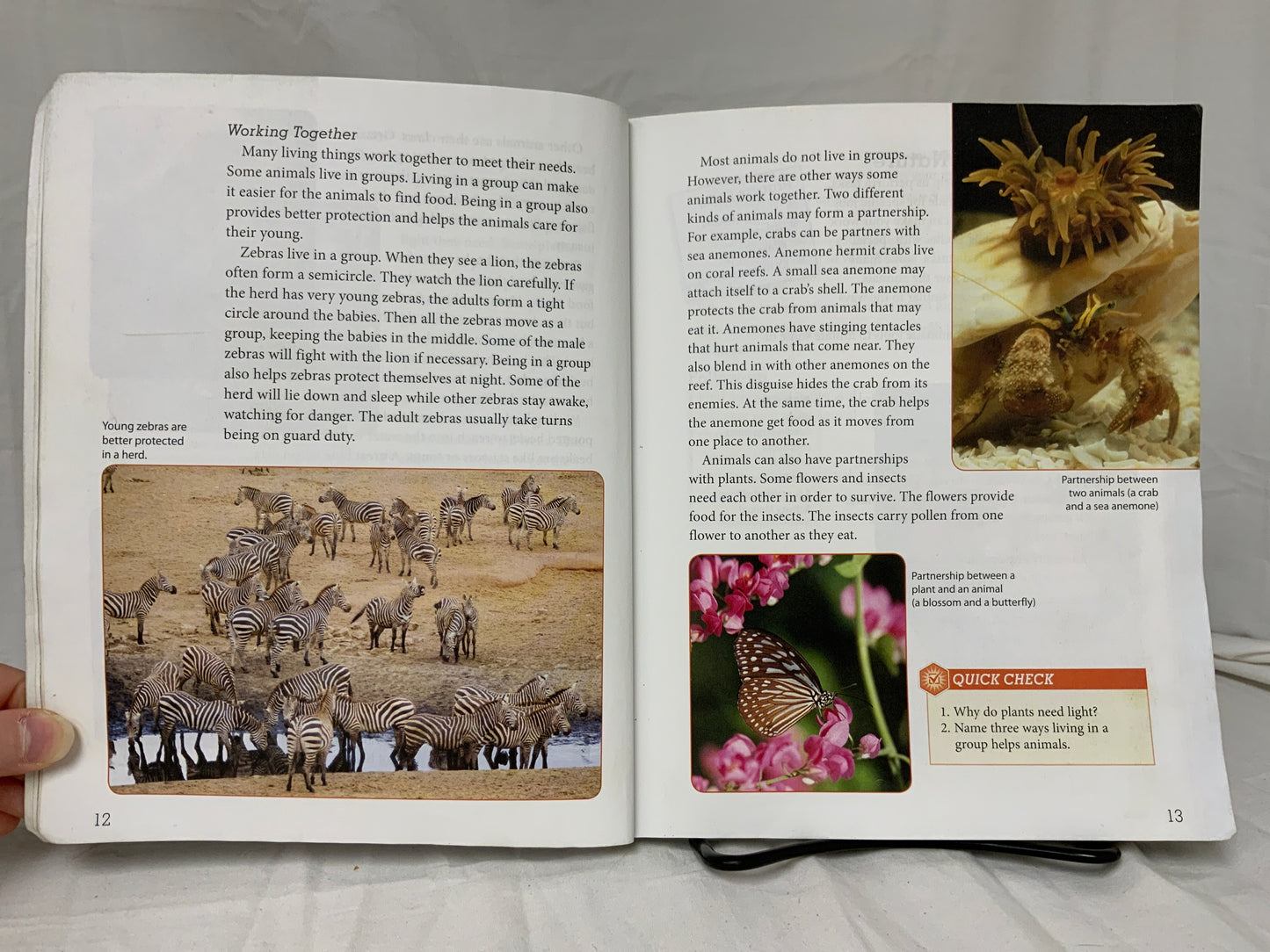 BJU Science 4 (4th Ed.) Textbook