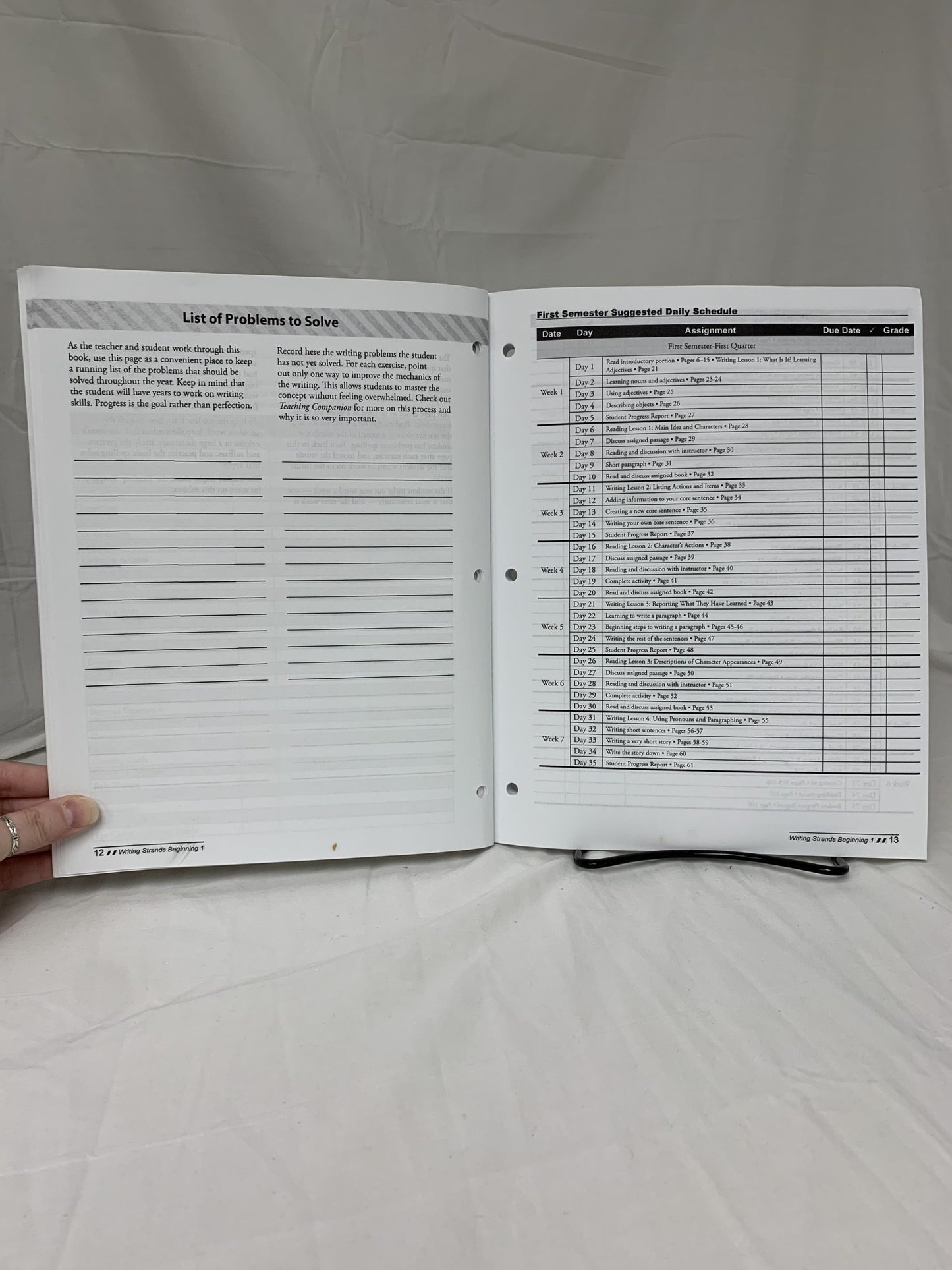 Writing Strands: Beginning 1